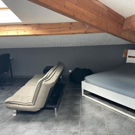 Studio7 Proche Fac Climatise Albi Extérieur photo